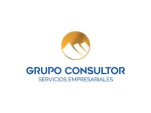 grupo_consultor_logo.jfif